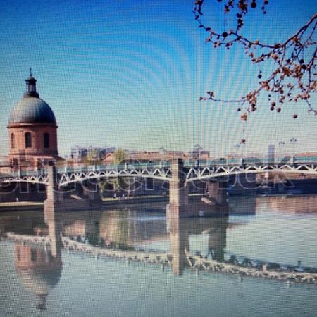 Le Saint Cyp - Toulouse - Appart Entier Cosy Et Au Calme, Proche Du Metro Zewnętrze zdjęcie